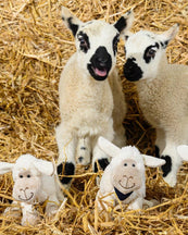 Load image into Gallery viewer, Sheep Small White Soft Toy Plush 18cm