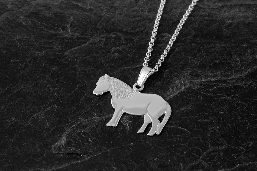 Shetland Pony