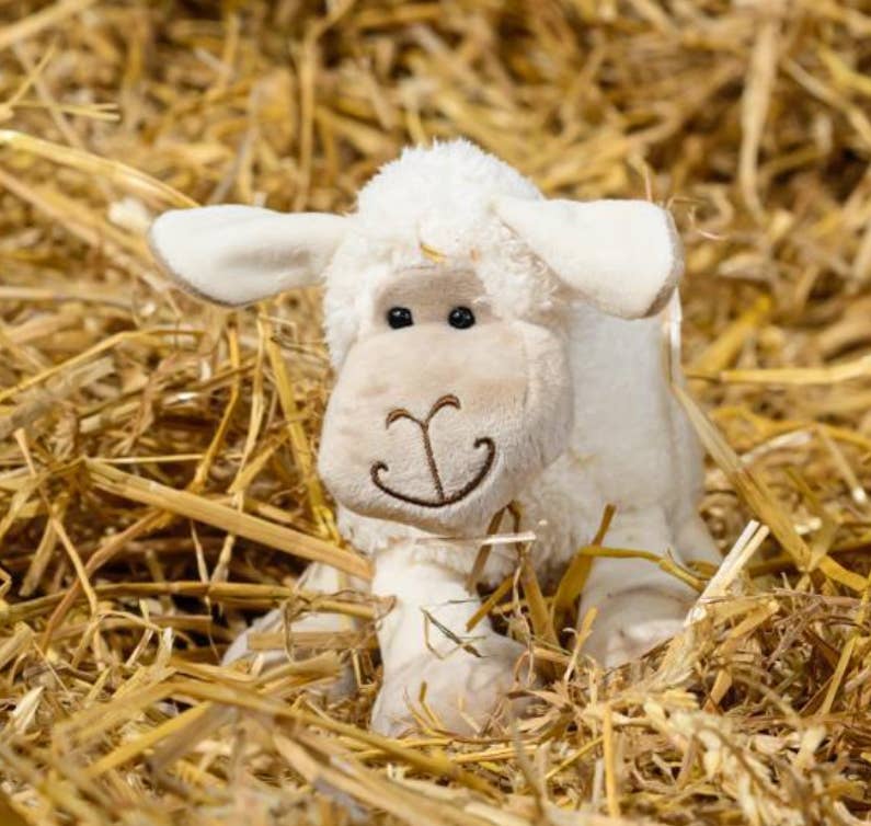 Sheep Small White Soft Toy Plush 18cm