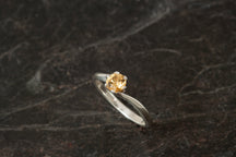 Load image into Gallery viewer, Silver Birthstone Ring
