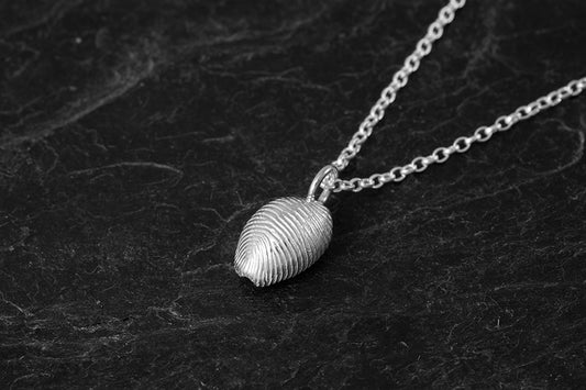 Large Grottie Buckie Shell Pendant