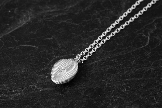 Large Grottie Buckie Shell Pendant