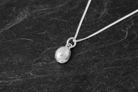 Small Grottie Buckie Shell Pendant