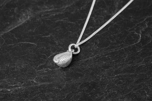 Small Grottie Buckie Shell Pendant