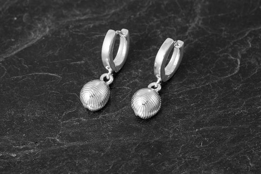 Small Grottie Buckie Shell Earrings