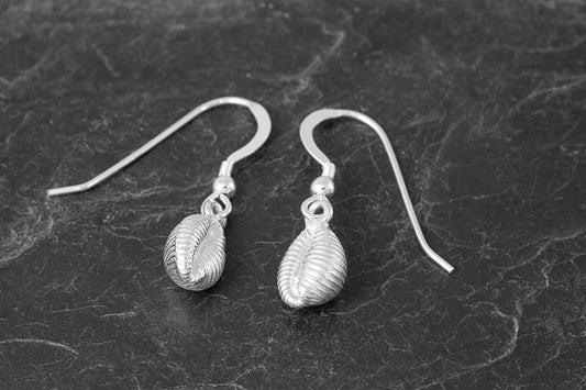 Small Grottie Buckie Shell Earrings