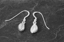 Load image into Gallery viewer, Small Grottie Buckie Shell Earrings
