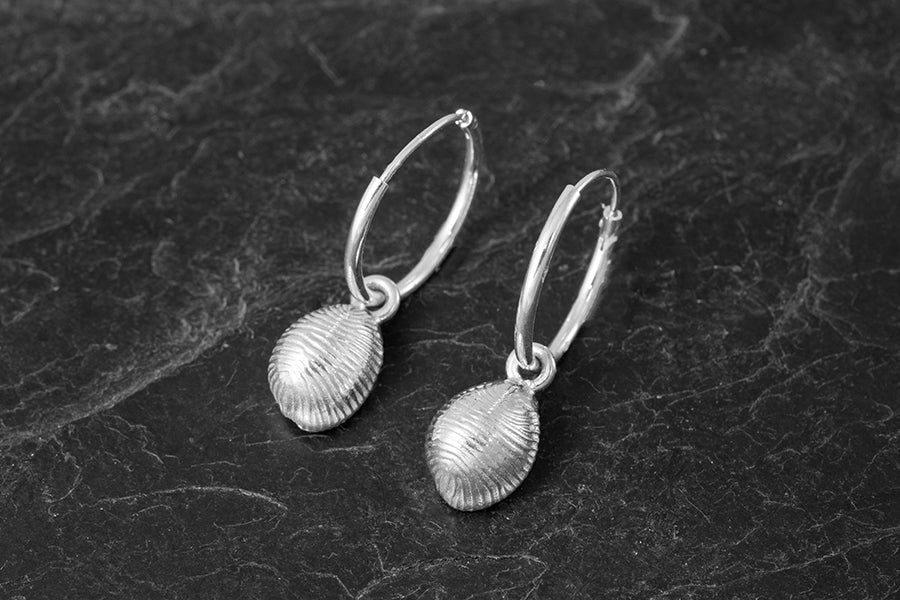 Small Grottie Buckie Shell Earrings