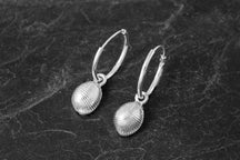 Load image into Gallery viewer, Small Grottie Buckie Shell Earrings

