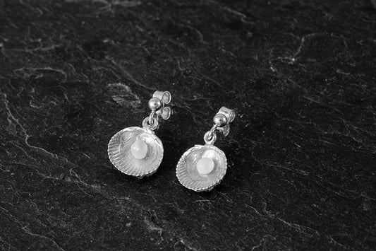 Cockle Shell Earrings