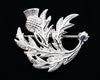 Scottish Thistle Brooch