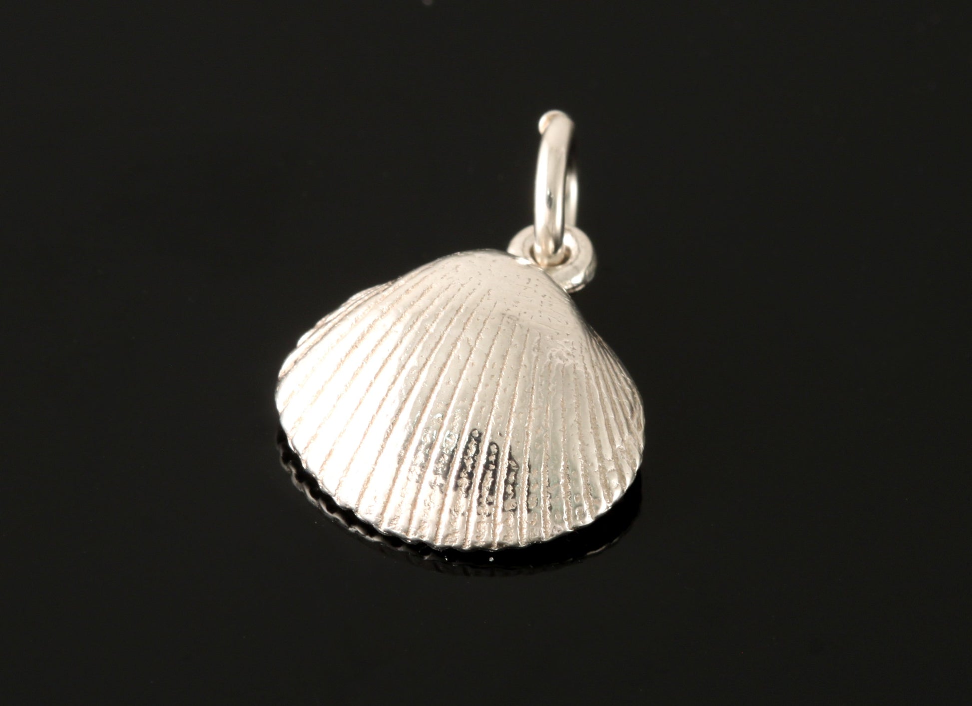 Cockle Shell Charm